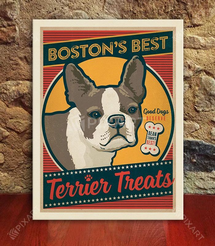 Terrier de Boston
