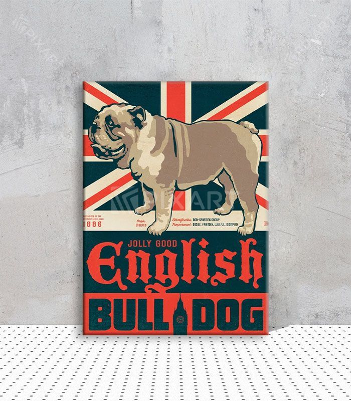 English BullDog