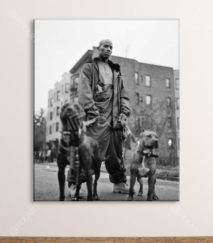 DMX with dogs