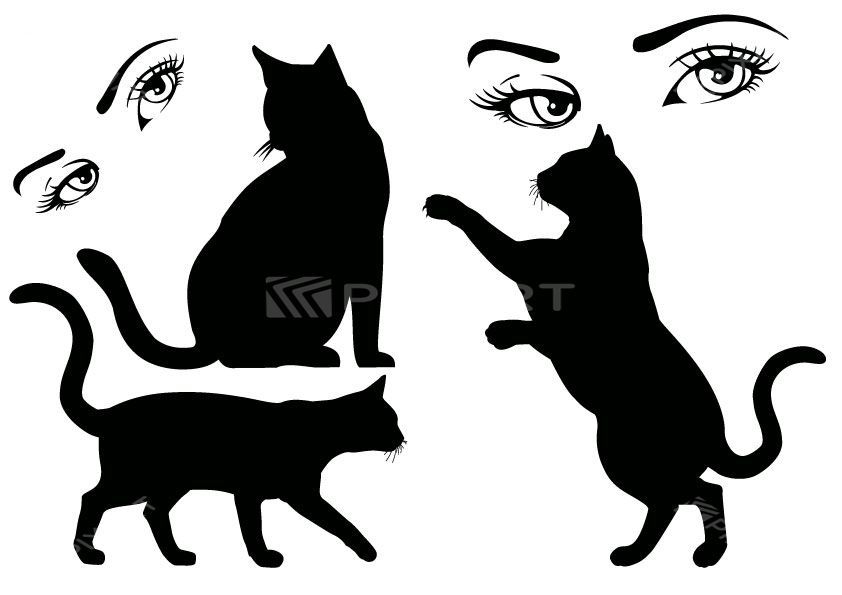 Collection de Stickers de chats et d’un regard