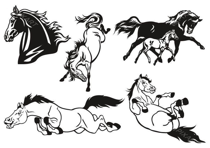 Collection de stickers de chevaux #1