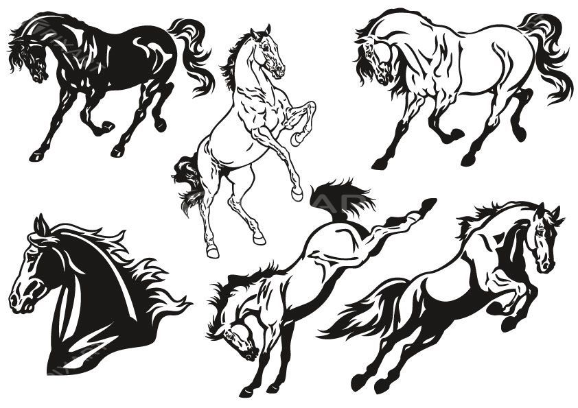 Collection de stickers de chevaux #2