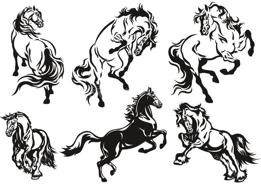 Collection de stickers de chevaux #3